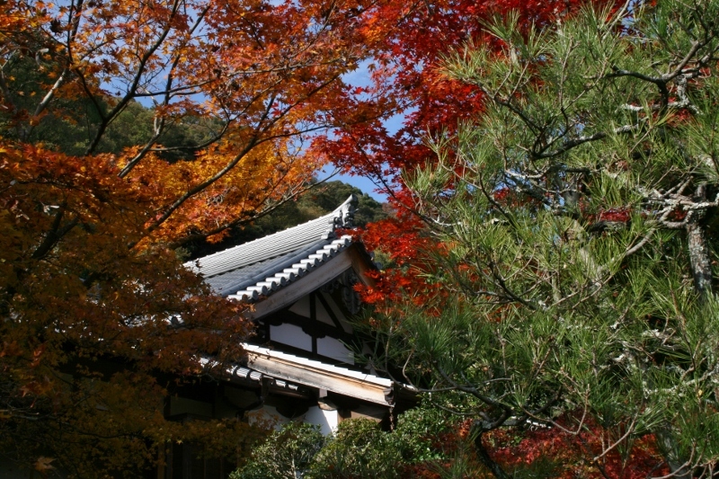 八幡　善法律寺_c0107231_20443118.jpg