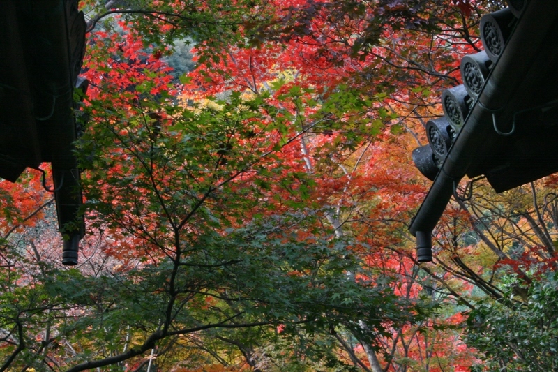 八幡　善法律寺_c0107231_20455180.jpg