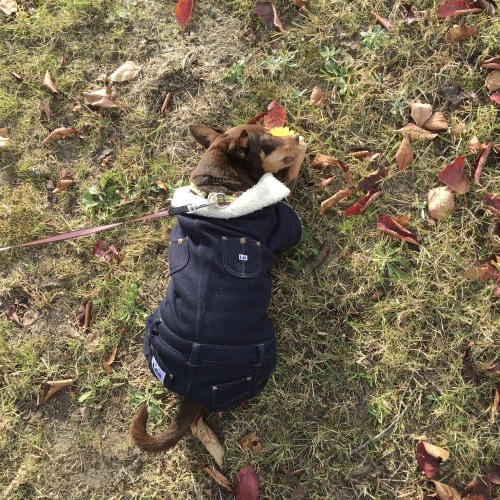 a0291132_17370314.jpeg