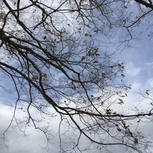 a0291132_17420108.jpeg