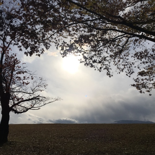 a0291132_17421244.jpeg
