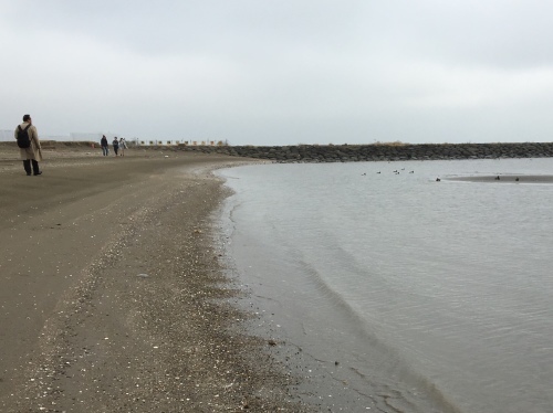 b0330040_22012931.jpeg