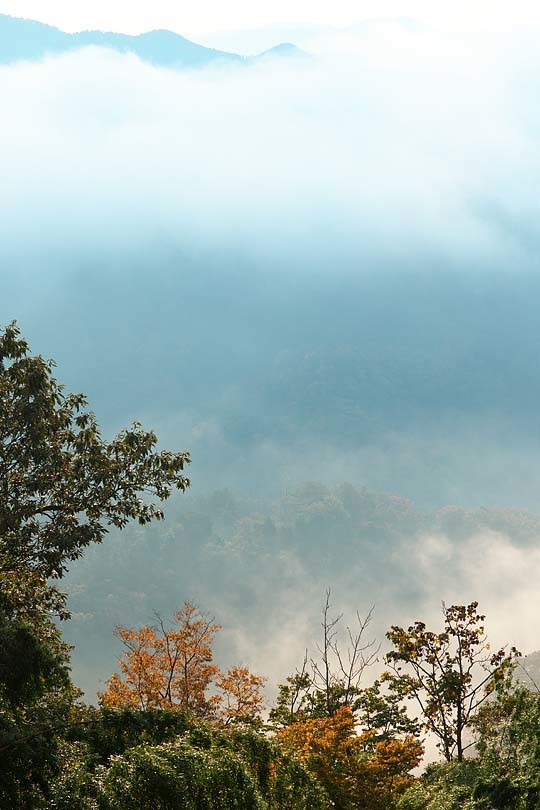 c0067040_21413453.jpg