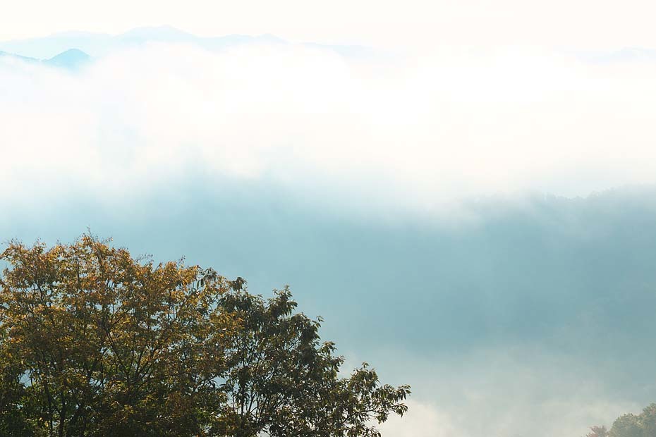 c0067040_21415153.jpg