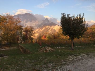 d0136540_07032329.jpg