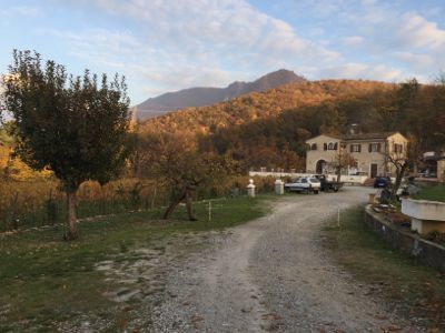 d0136540_07040232.jpg