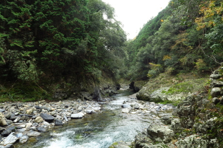 京都トレイル 西山コース_c0218841_14242499.jpg