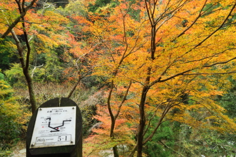 京都トレイル 西山コース_c0218841_14251349.jpg
