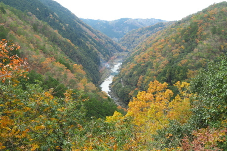 京都トレイル 西山コース_c0218841_14260793.jpg