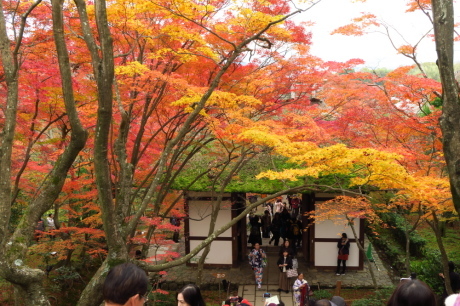 京都トレイル 西山コース_c0218841_14280748.jpg