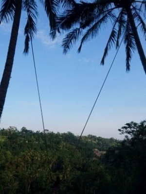 Bali Swing に行ってみたよ！@ Desa Bongkasa (\'17年9月)_d0368045_2284558.jpg