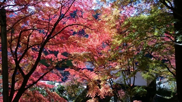 c0328559_15440770.jpg