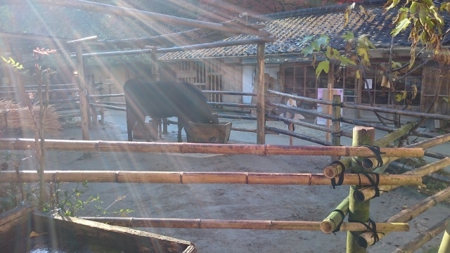 c0328559_16001980.jpg