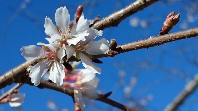 c0328559_16171564.jpg