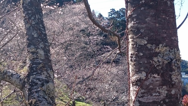 c0328559_16173513.jpg