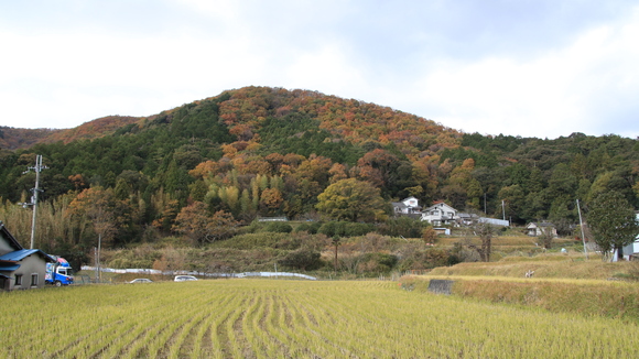 ２０１７年　能勢電車で紅葉狩り_d0202264_21502045.jpg