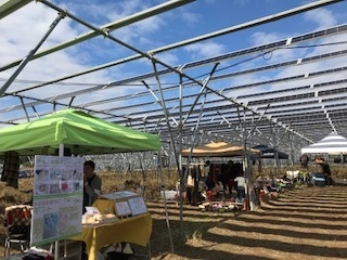 11月18日からのスピード_b0034072_19404428.jpg