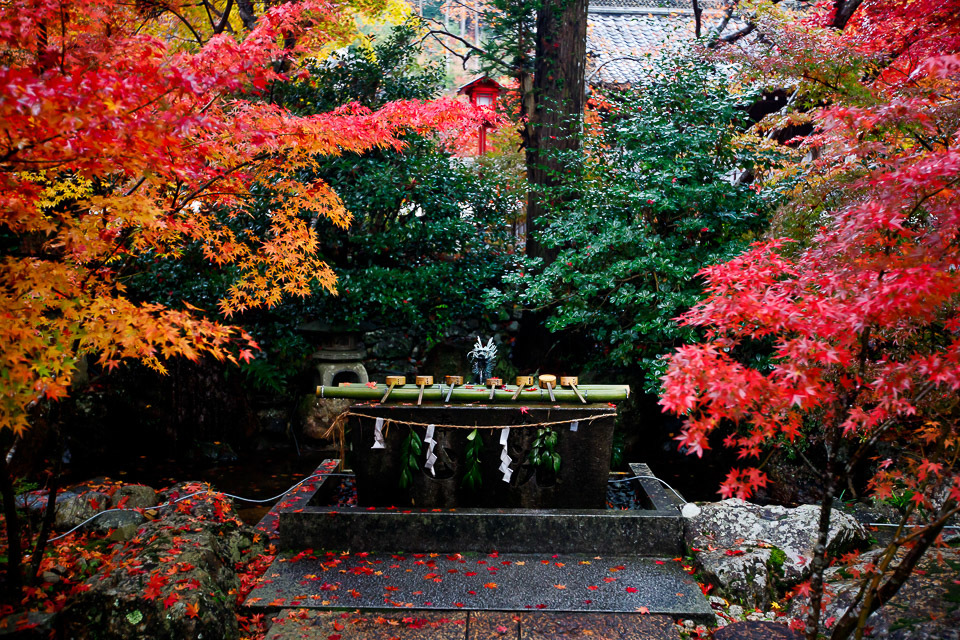 2017紅葉！　～鍬山神社～_b0128581_21272197.jpg