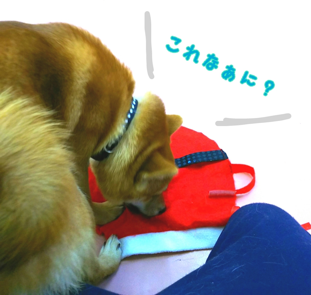 トレーニングブログ_f0357682_21274789.jpg