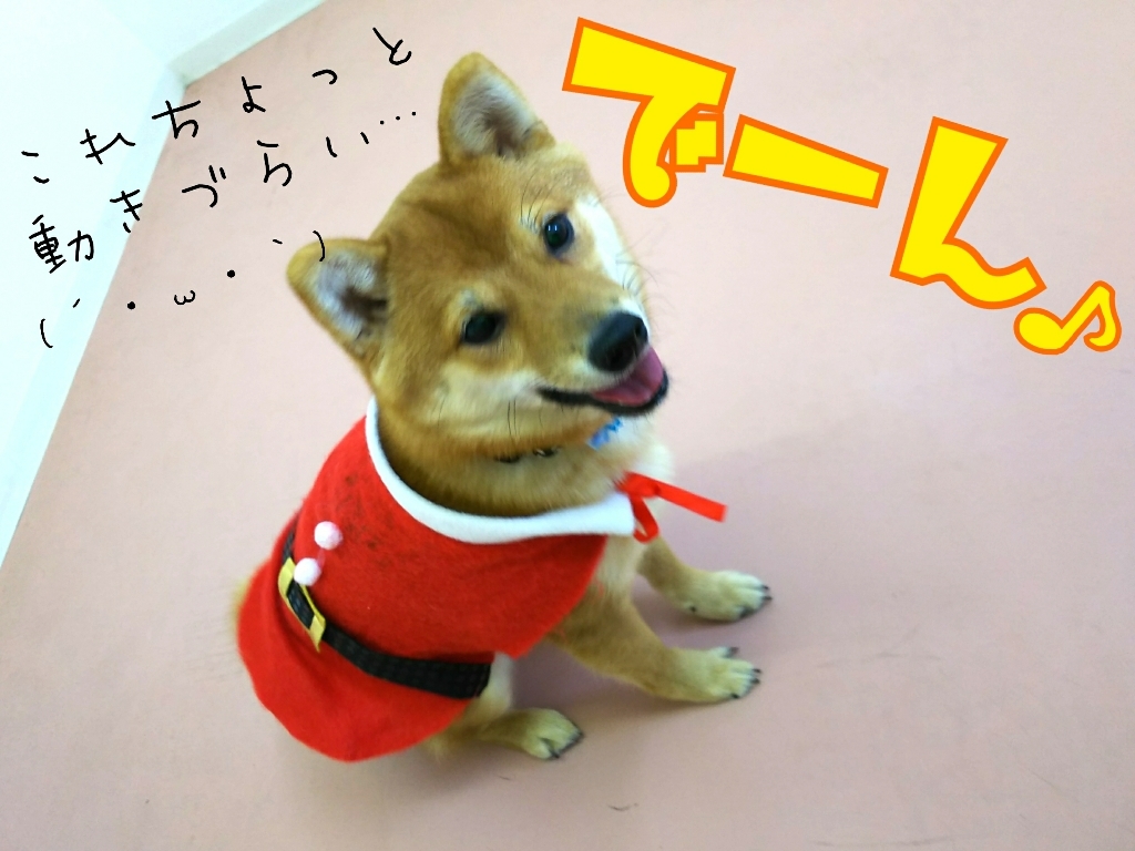 トレーニングブログ_f0357682_21274913.jpg
