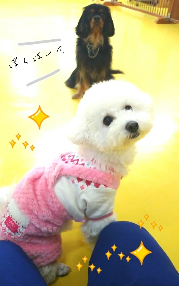 トレーニングブログ_f0357682_21280221.jpg