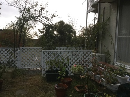 b0091187_21313662.jpeg