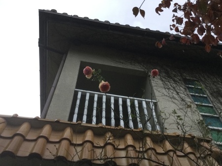 b0091187_21425488.jpeg