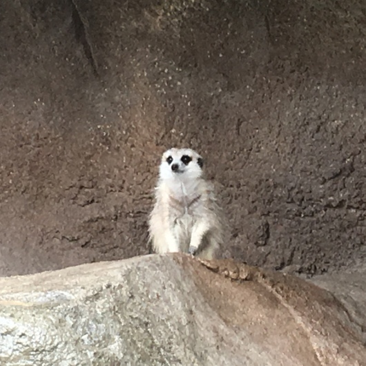 b0336787_23261654.jpeg