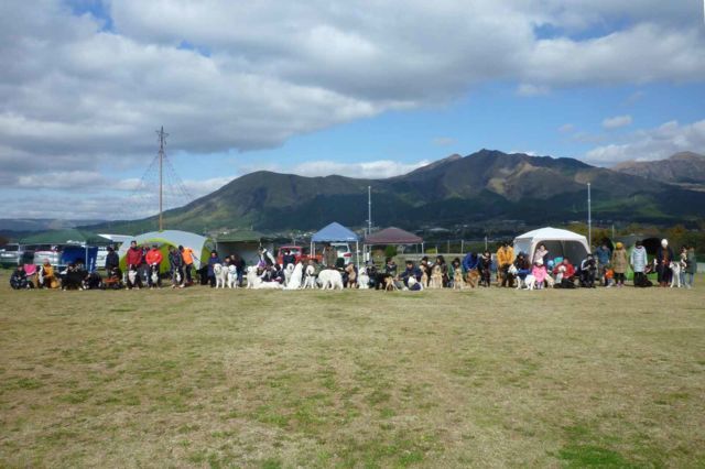 b0135889_21191166.jpg