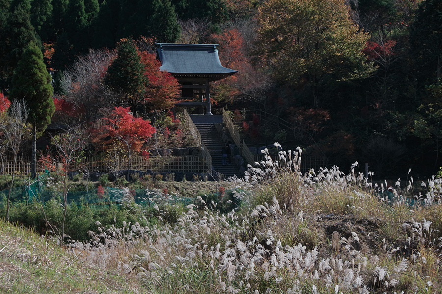 17.11.11：呑山観音寺で紅葉散歩６－完_c0007190_16384759.jpg