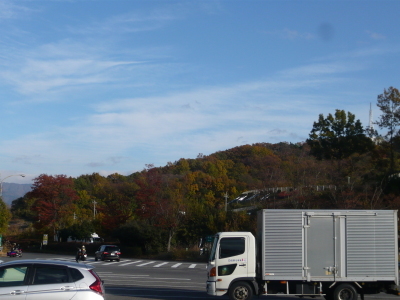 a0124393_15143261.jpg
