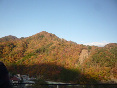 a0124393_15154367.jpg