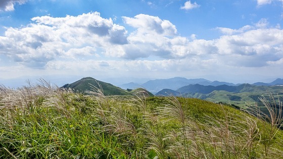 e0176993_07501838.jpg
