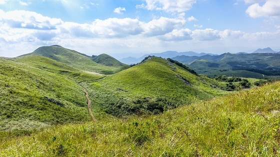 e0176993_07501853.jpg