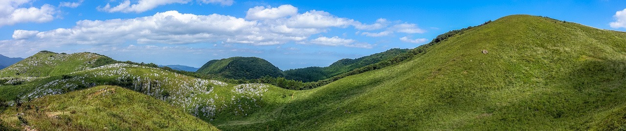 e0176993_07501920.jpg