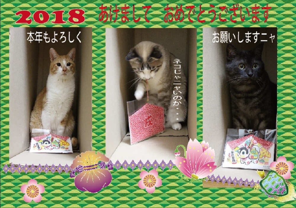 フリーダウンロード出来ます_a0333195_17512908.jpg