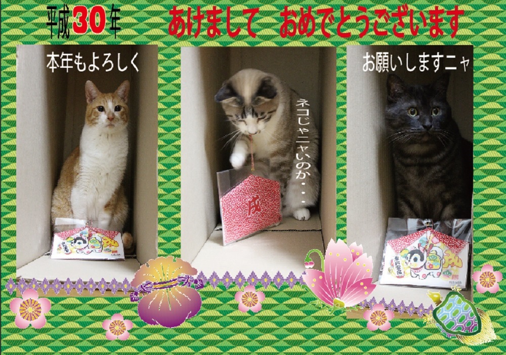 フリーダウンロード出来ます_a0333195_17572630.jpg