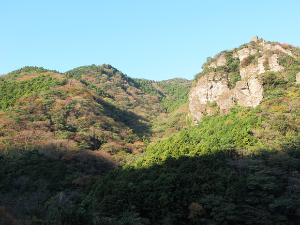 a0166196_1122276.jpg