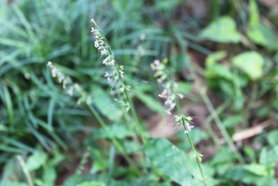 e0354596_12001961.jpg