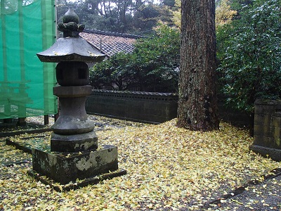 c0187298_20312896.jpg