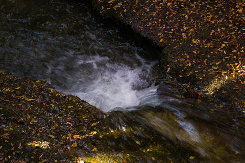c0183700_21174859.jpg