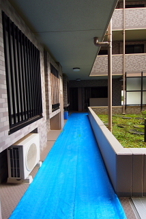 c0039501_15241929.jpg