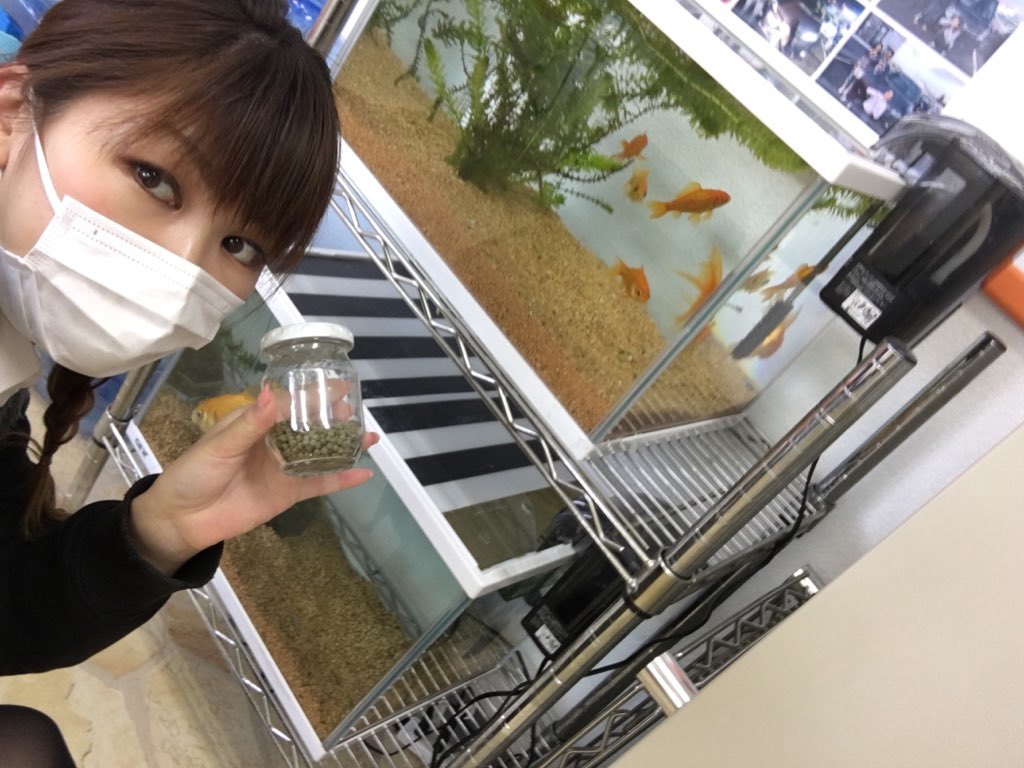 11月24日(金)☆TOMMYアウトレット☆あゆブログ(人´▽`*)納車2台☆エアウェイブE様♪パレットM様♪_b0127002_16460909.jpg