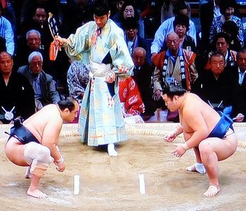 安美錦　大相撲九州場所　十三日目_b0044404_22562194.jpg