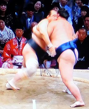 安美錦　大相撲九州場所　十三日目_b0044404_22572086.jpg