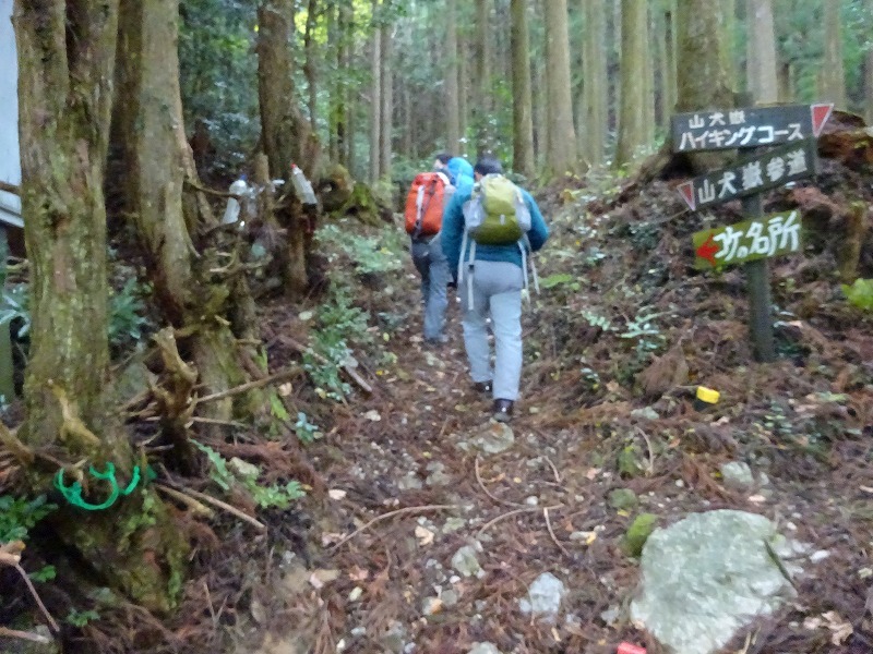 山犬嶽（やまいぬだけ）徳島県　苔の名所_b0124306_22214281.jpg