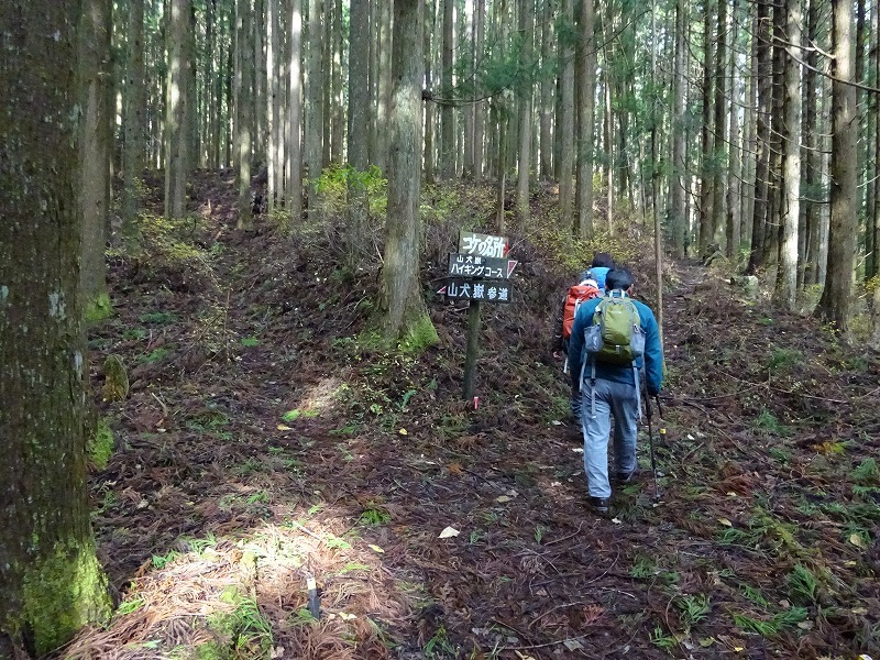 山犬嶽（やまいぬだけ）徳島県　苔の名所_b0124306_23131880.jpg