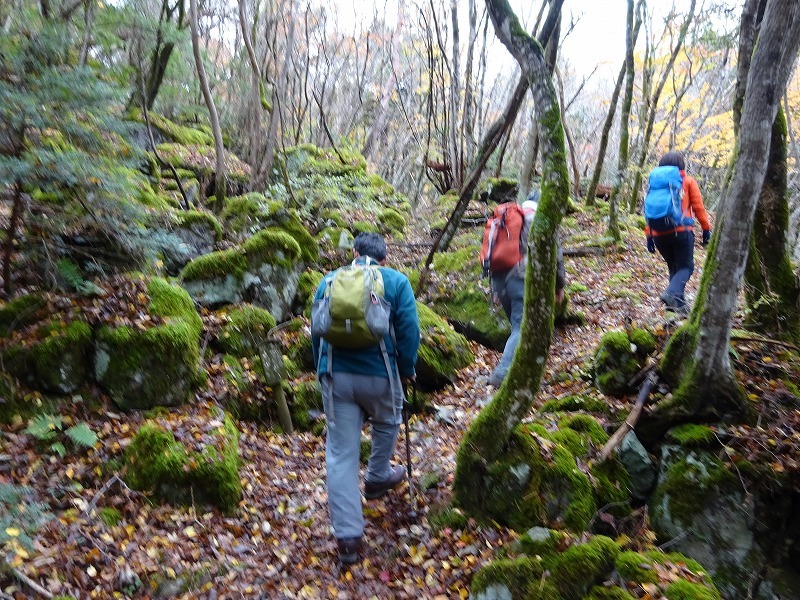 山犬嶽（やまいぬだけ）徳島県　苔の名所_b0124306_23151116.jpg
