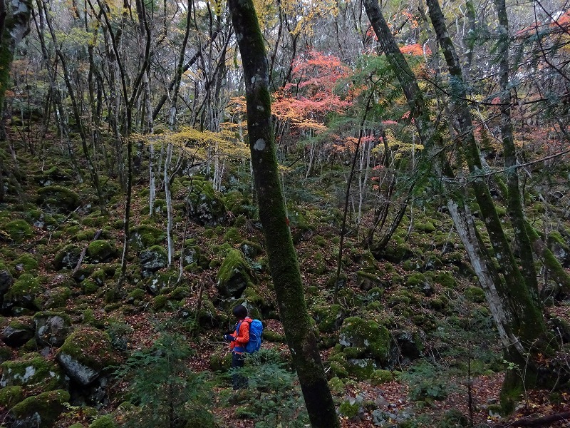 山犬嶽（やまいぬだけ）徳島県　苔の名所_b0124306_23184630.jpg