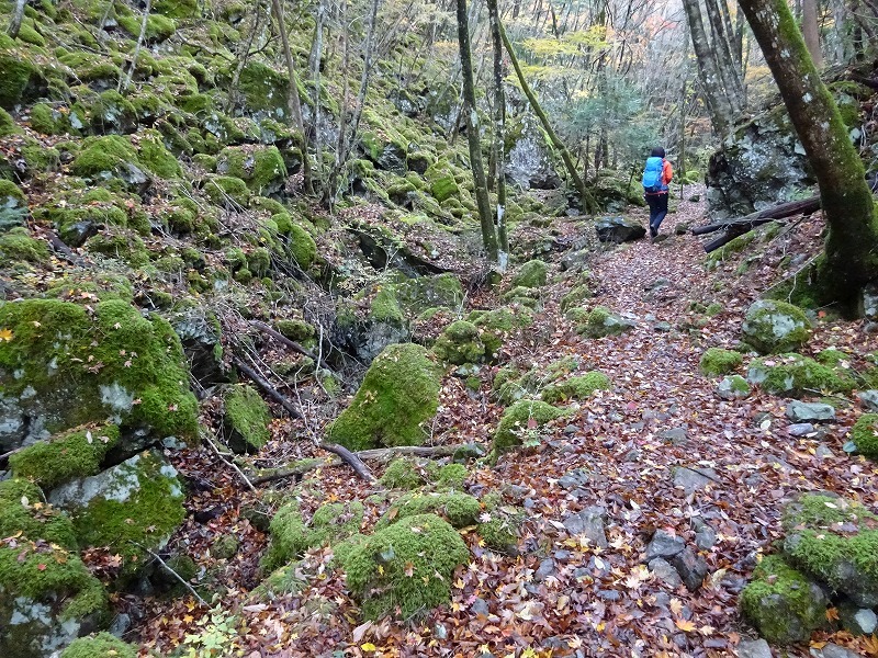 山犬嶽（やまいぬだけ）徳島県　苔の名所_b0124306_23192198.jpg